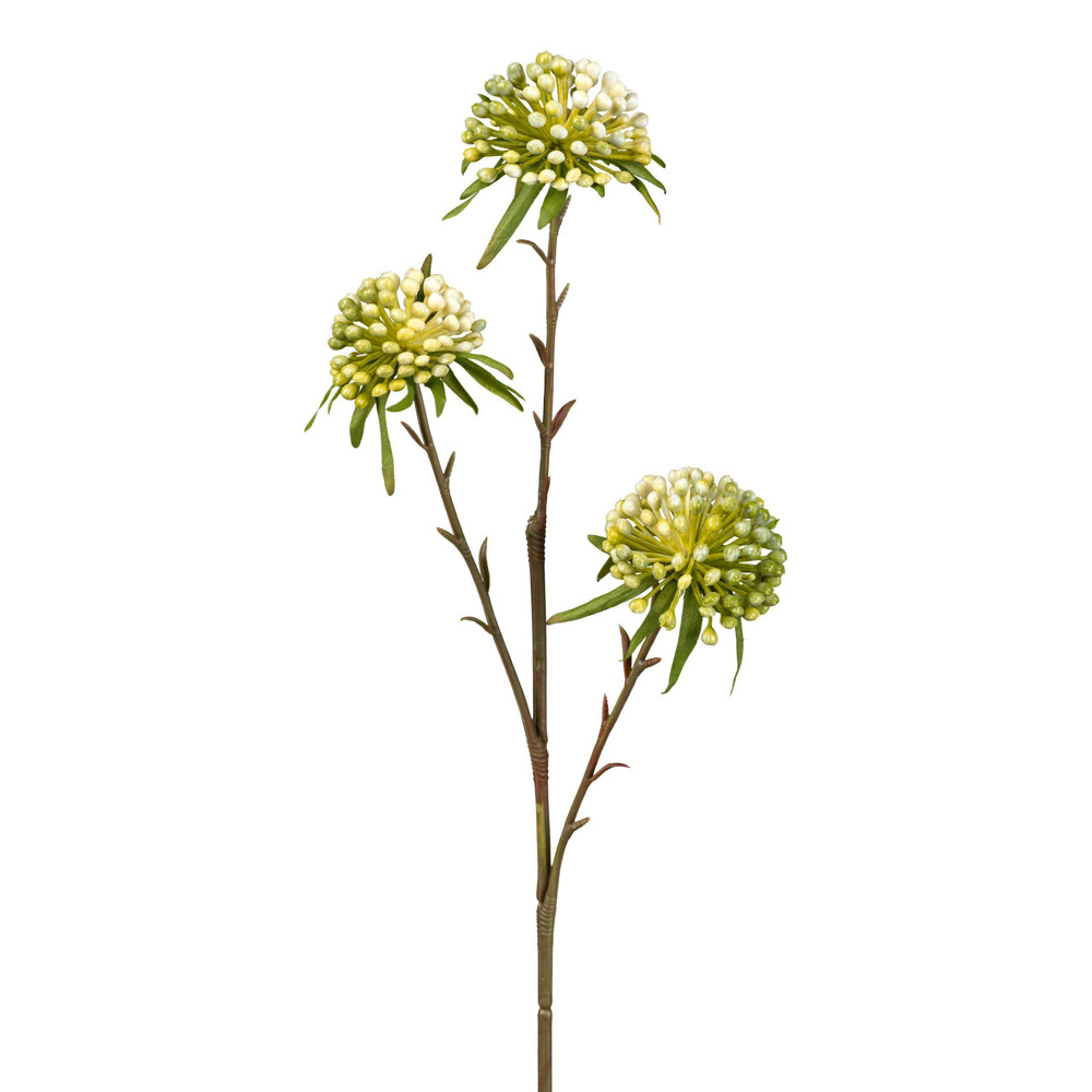 Umělá Rostlina Allium
